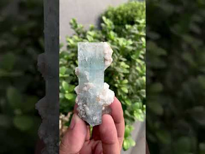 Blue Aquamarine Crystals With Schorl Spray And Feldspar From Pakistan - 92 Grams