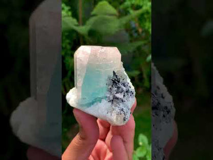AquaMorganite Beryl with Tourmalines and Quartz on Albite from Afghanistan, 322 gram