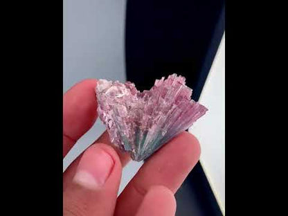 Bi-Color Cotton Candy Tourmaline Cluster From Afghanistan - 22 Grams