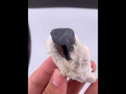 Schorl Black Tourmaline Crystal With Albite From Pakistan - 56 Grams