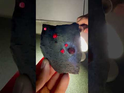 Red Garnet Crystals on Graphite from Massachusetts, USA - 62 Grams