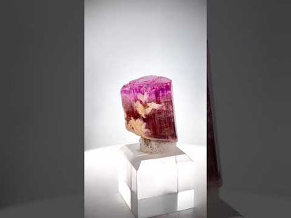 Tricolor Tourmaline Crystal from Afghanistan - 22.2 Gram