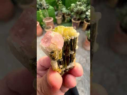 Pink Apatite crystals on Tourmaine from Pakistan, 28 gram