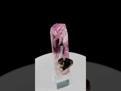 Pink Kunzite with Smoky Quartz from Afghanistan, 88 gram
