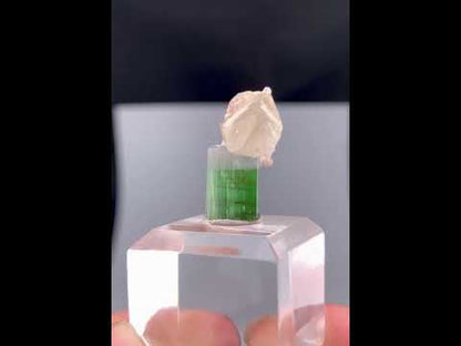 Bi-color Tourmaline Crystal With Quartz And Leapodolite from Afghanistan – 25.80 Carats