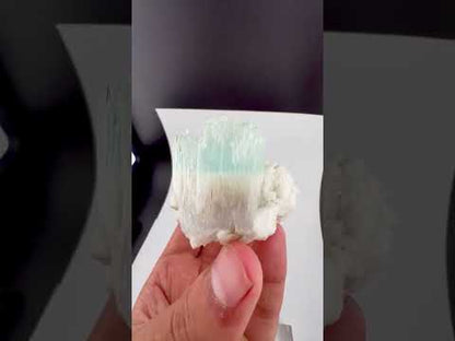 Bicolor AquaMorganite Crystal on Albite from Pakistan - 139 Grams
