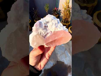 Morganite with Lepidolite, Quartz and Cleavlandite albite specimen from Afghanistan, 406 gram