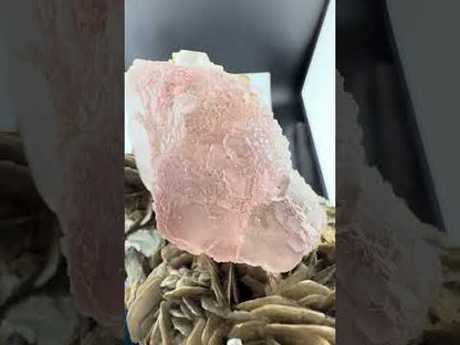 Pink Fluorite with Mica from Pakistan, 1619 gram