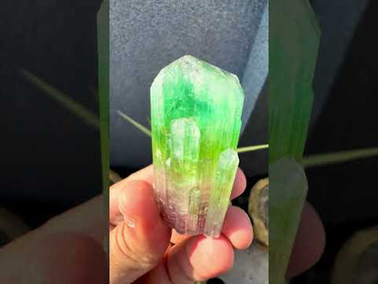 Multicolor Tourmaline Crystal from Paprok  - 76 gram