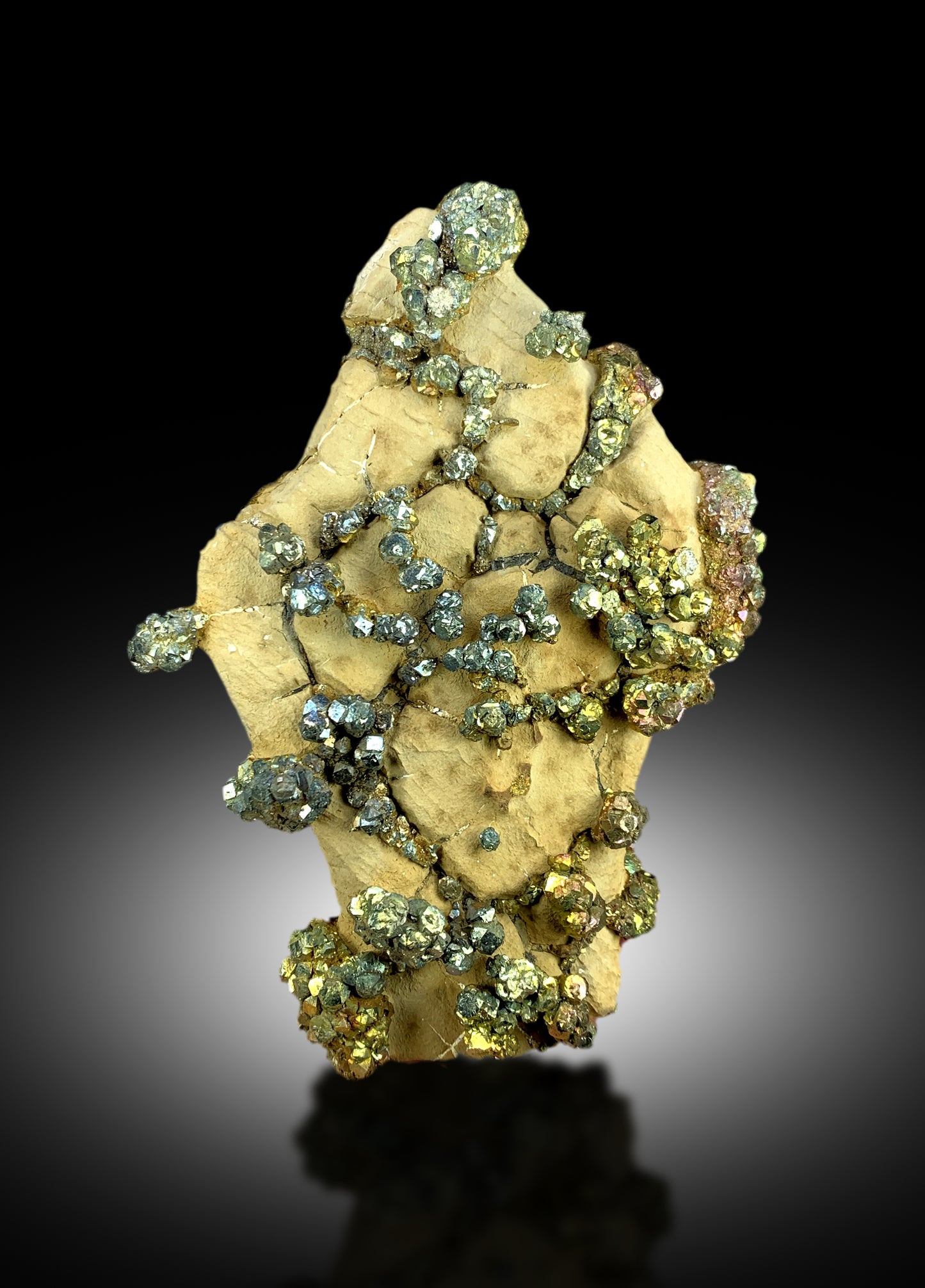 rainbow pyrite crystal display piece
Pakistan pyrite mineral specimen
colorful pyrite on limonite matrix