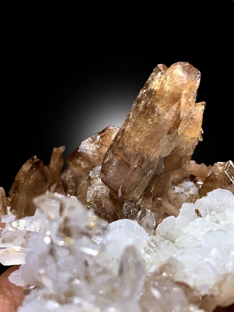 terminated Axinite crystal cluster display
Baluchistan Pakistan crystal formation
natural Faden Quartz with Axinite
