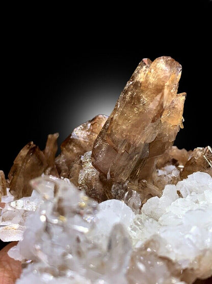 terminated Axinite crystal cluster display
Baluchistan Pakistan crystal formation
natural Faden Quartz with Axinite