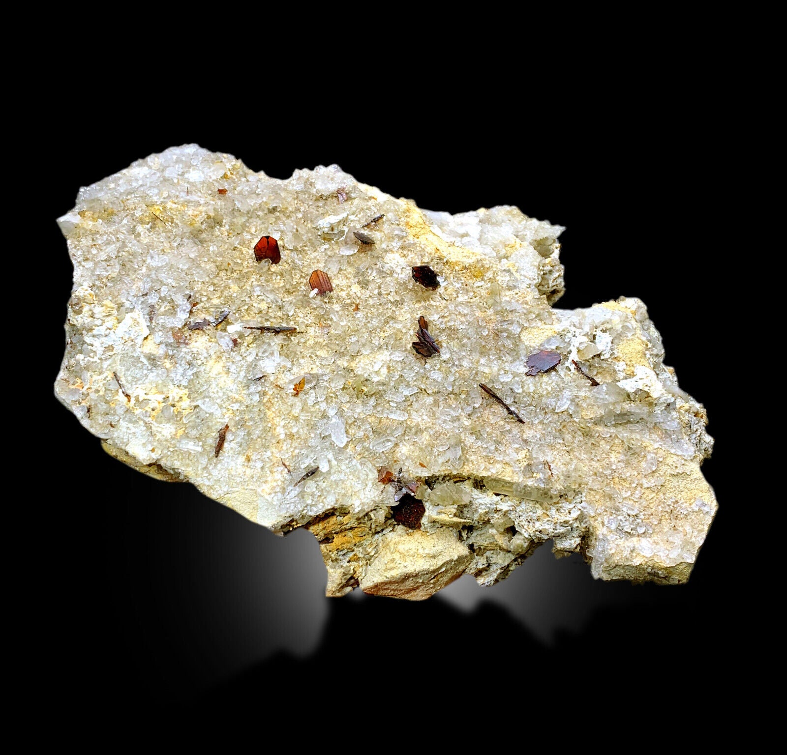 large Brookite crystal formation on matrix
Baluchistan Pakistan Brookite mineral display