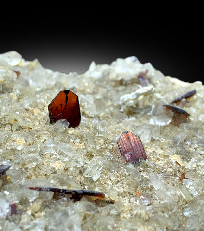 red Brookite and quartz cluster close-up
rare Brookite cabinet-display specimen