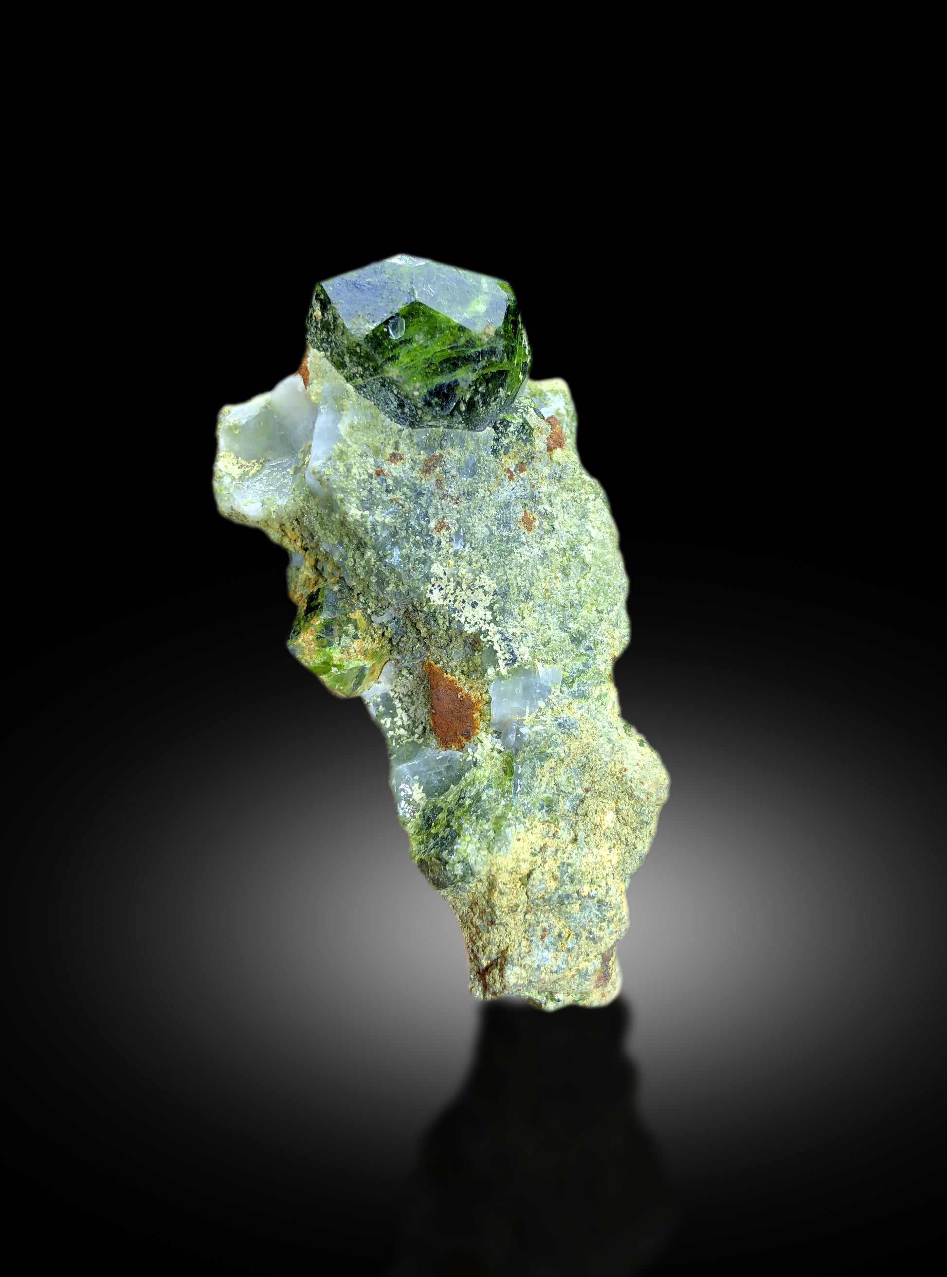 Natural terminated crystal free of chips or damage
Demantoid garnet mineral specimen full length view